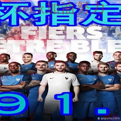 世界杯买球网站精选：用户反馈+直播全指南 - 世界杯官方信息