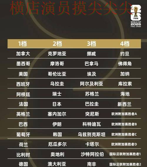 世界杯投注平台安全入口直播怎么看？解析给你答案（World Cup 2026）
