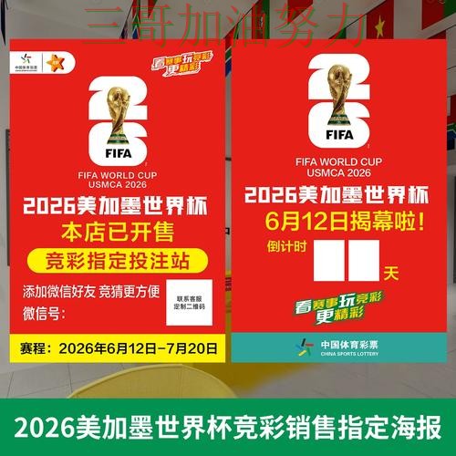 世界杯投注哪个好别乱选，最新盘点给你答案（世界杯官方信息）